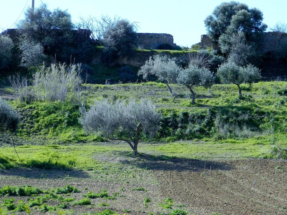 Agriturismo Passo Dei Briganti Agrigento Eksteriør billede