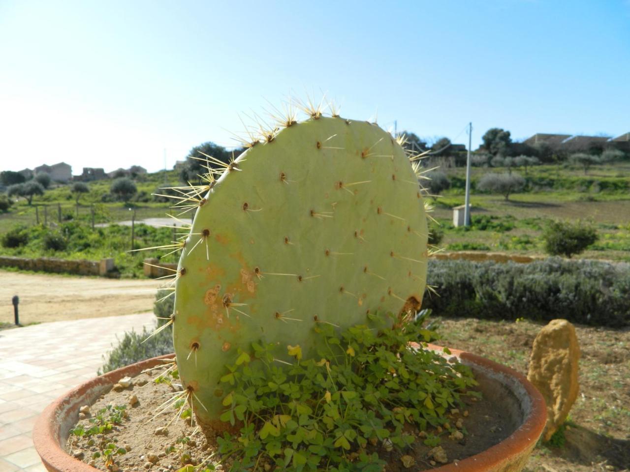Agriturismo Passo Dei Briganti Agrigento Eksteriør billede